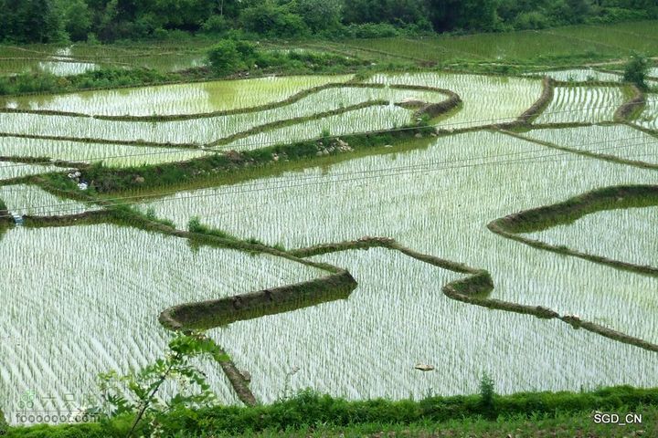 大龙湾-白山市DSCF9553
