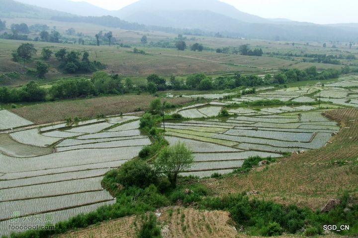大龙湾-白山市DSCF9558