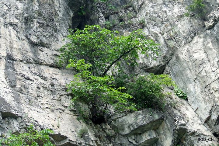 白山市-通化县DSCF9800
