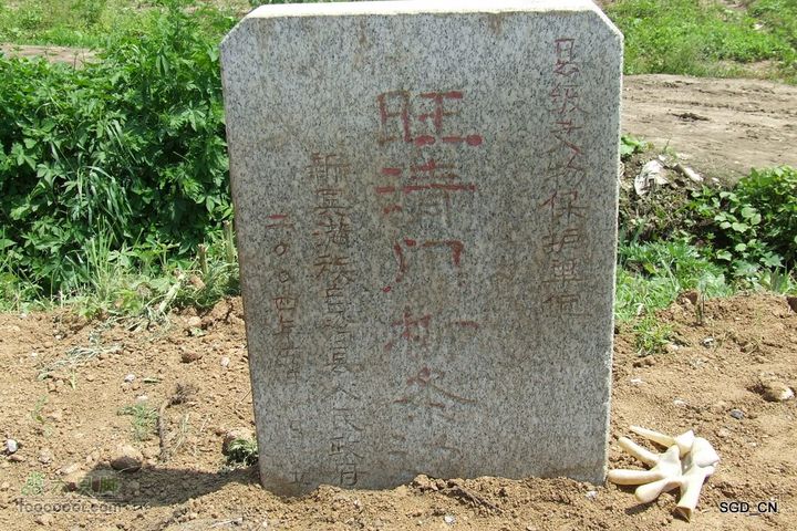 通化县-新宾DSCF9972