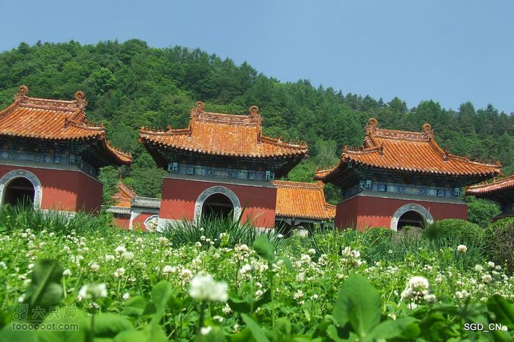 新宾(清永陵、赫图阿拉古城)-南杂木DSCF0201