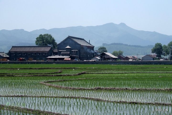 新宾(清永陵、赫图阿拉古城)-南杂木DSCF0211