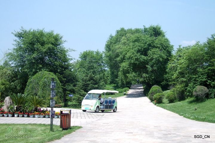 新宾(清永陵、赫图阿拉古城)-南杂木DSCF0224
