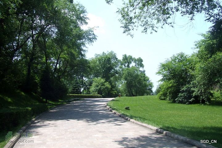 新宾(清永陵、赫图阿拉古城)-南杂木DSCF0229