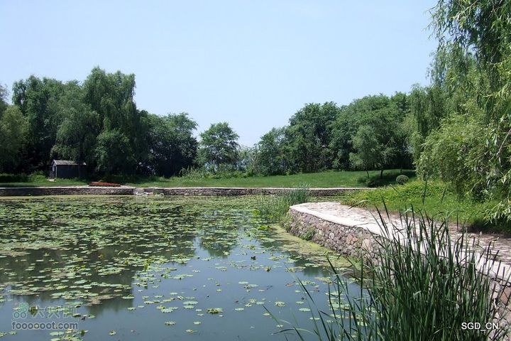 新宾(清永陵、赫图阿拉古城)-南杂木DSCF0252