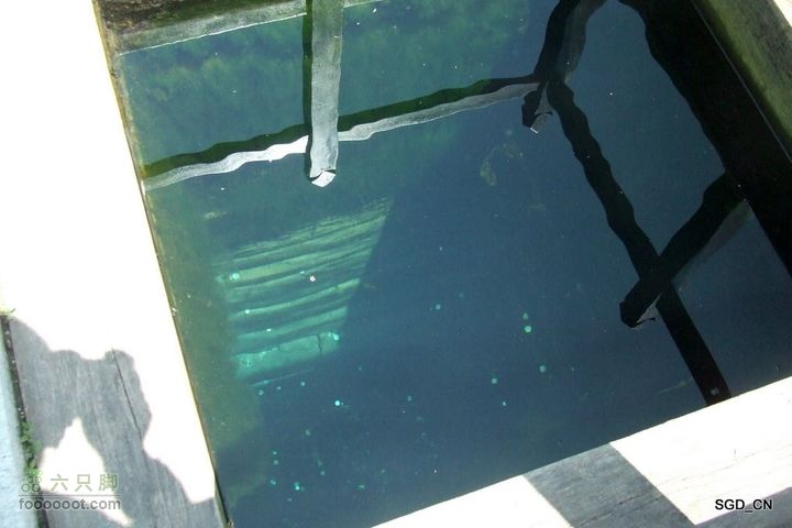新宾(清永陵、赫图阿拉古城)-南杂木DSCF0291