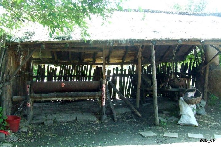 新宾(清永陵、赫图阿拉古城)-南杂木DSCF0306