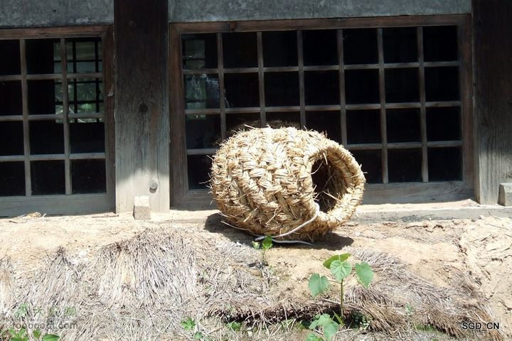 新宾(清永陵、赫图阿拉古城)-南杂木DSCF0315