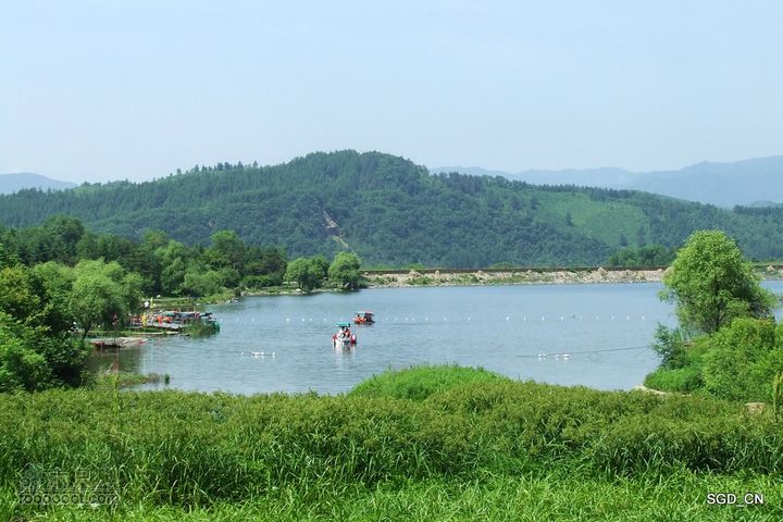 新宾(清永陵、赫图阿拉古城)-南杂木DSCF0335