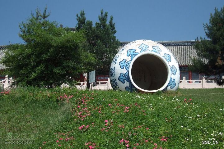 新宾(清永陵、赫图阿拉古城)-南杂木DSCF0344