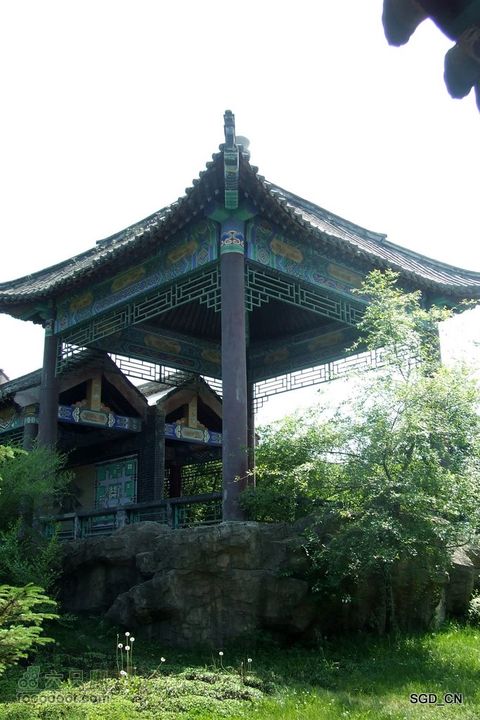 新宾(清永陵、赫图阿拉古城)-南杂木DSCF0367