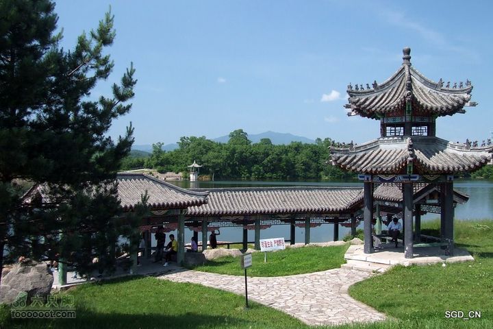 新宾(清永陵、赫图阿拉古城)-南杂木DSCF0369