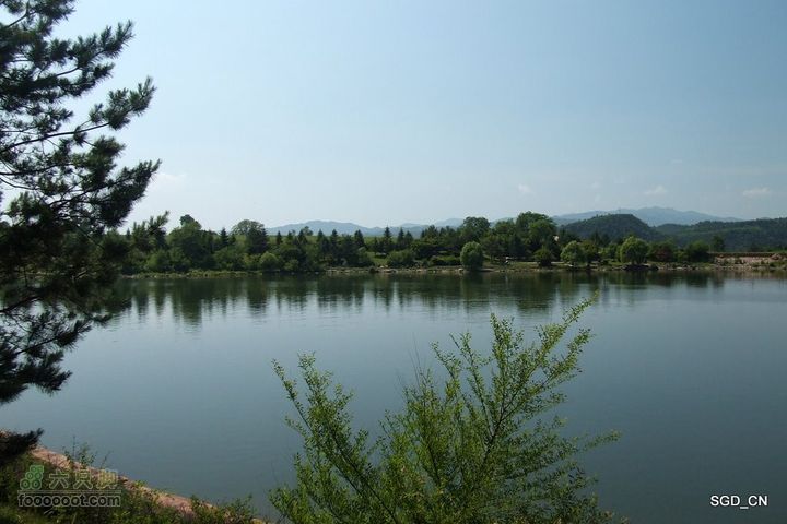 新宾(清永陵、赫图阿拉古城)-南杂木DSCF0370