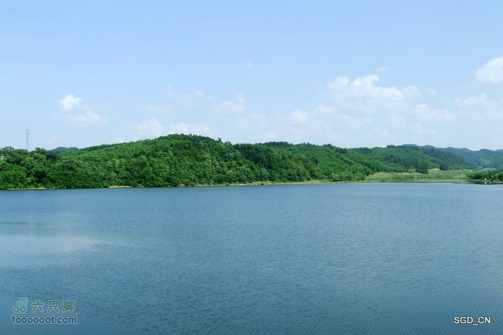 新宾(清永陵、赫图阿拉古城)-南杂木DSCF0374