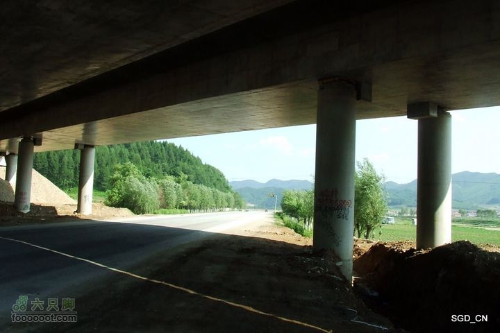 新宾(清永陵、赫图阿拉古城)-南杂木DSCF0390