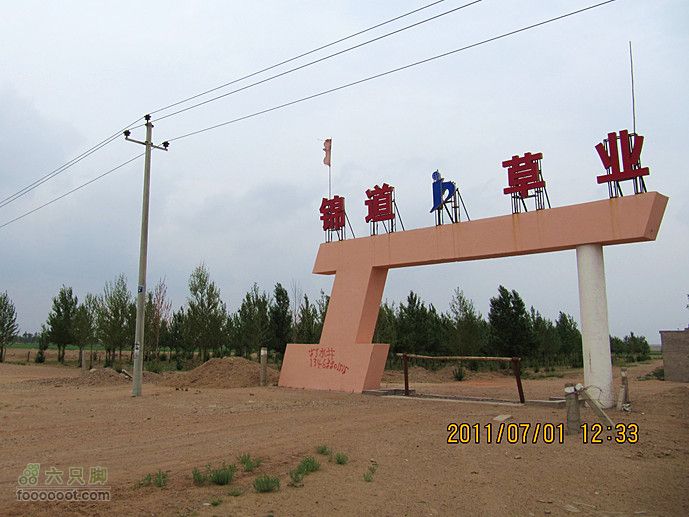 7.1 访牧民 看草地2011.7.1 访牧民 064_副本
