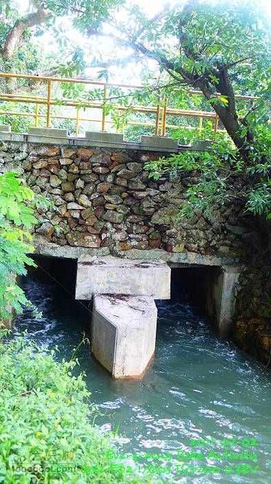2011 07 02 大埔、鹿頸、沙頭角、大埔P1400266