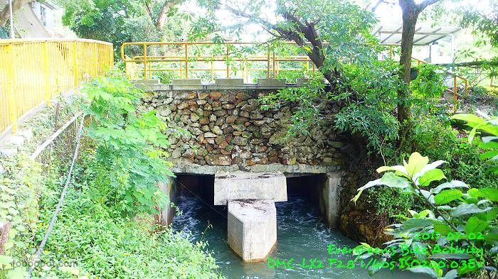2011 07 02 大埔、鹿頸、沙頭角、大埔P1400269