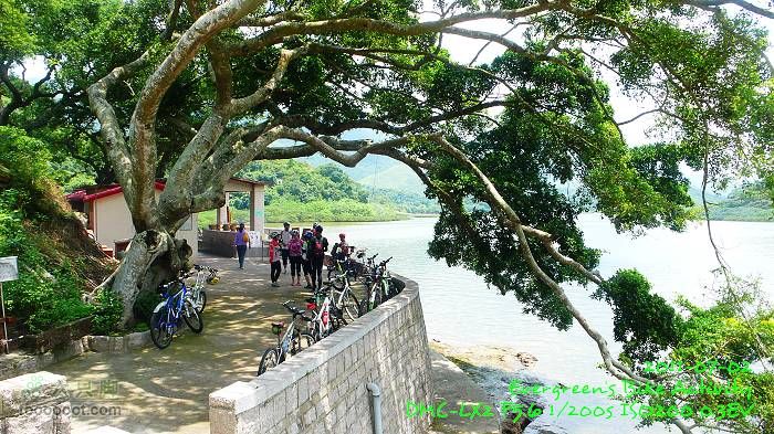 2011 07 02 大埔、鹿頸、沙頭角、大埔P1400280