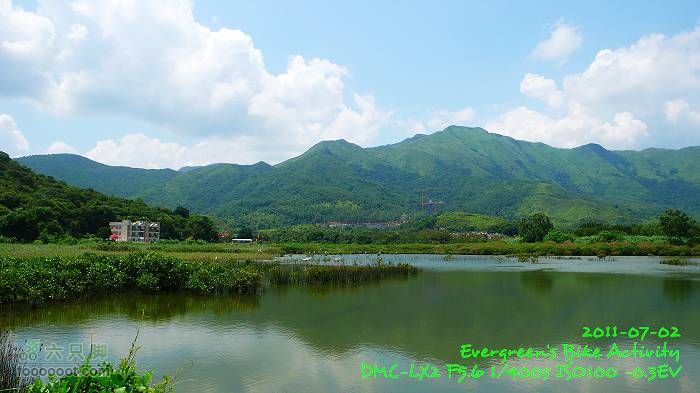 2011 07 02 大埔、鹿頸、沙頭角、大埔P1400306