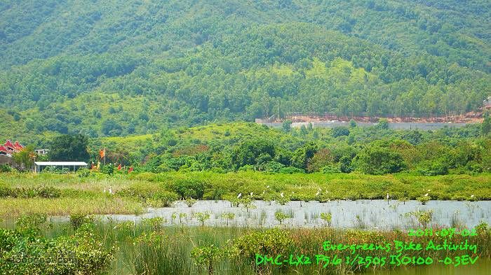 2011 07 02 大埔、鹿頸、沙頭角、大埔P1400307