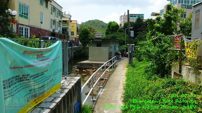 2011 07 02 大埔、鹿頸、沙頭角、大埔P1400310
