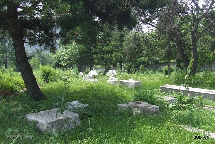 南杂木-元帅林-抚顺DSCF0450-1