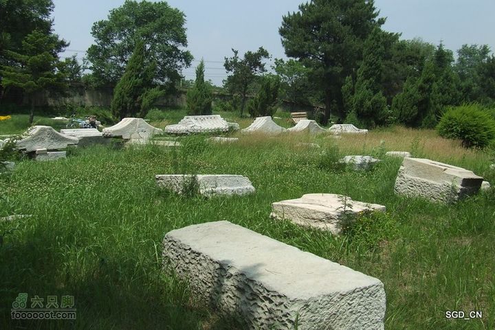 南杂木-元帅林-抚顺DSCF0456-1