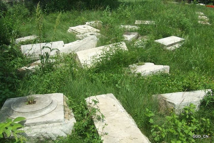 南杂木-元帅林-抚顺DSCF0457-1