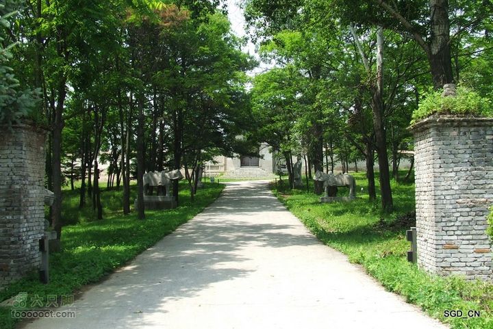 南杂木-元帅林-抚顺DSCF0459-1