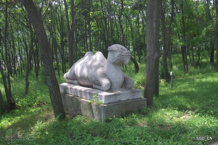 南杂木-元帅林-抚顺DSCF0460-1