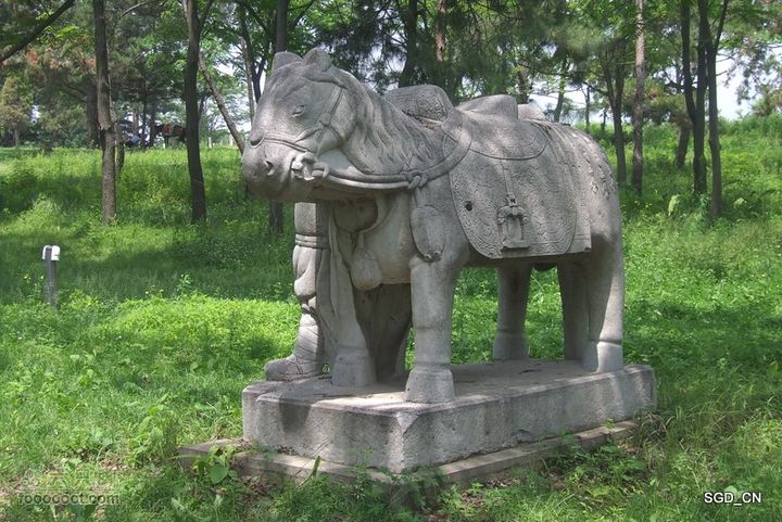 南杂木-元帅林-抚顺DSCF0462-1