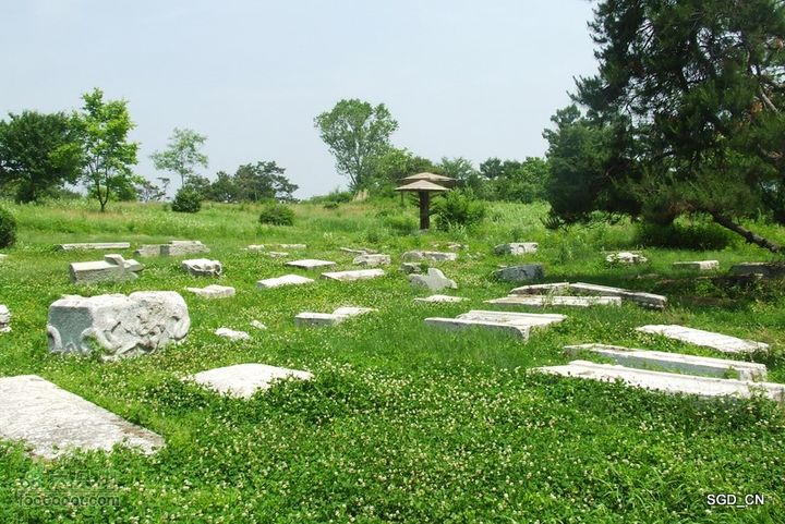 南杂木-元帅林-抚顺DSCF0473-1