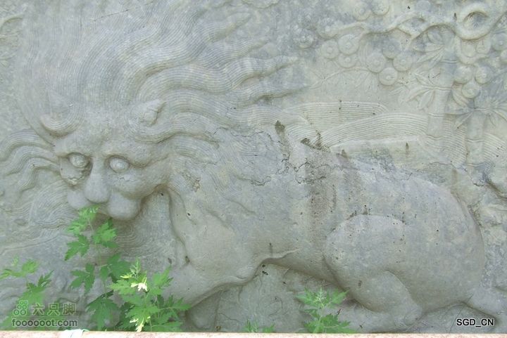 南杂木-元帅林-抚顺DSCF0495-1