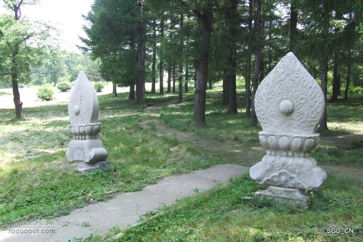 南杂木-元帅林-抚顺DSCF0506-1