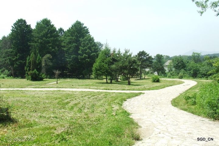南杂木-元帅林-抚顺DSCF0518-1