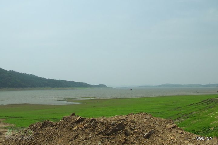 南杂木-元帅林-抚顺DSCF0552-1