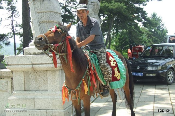 南杂木-元帅林-抚顺DSCF0562-1