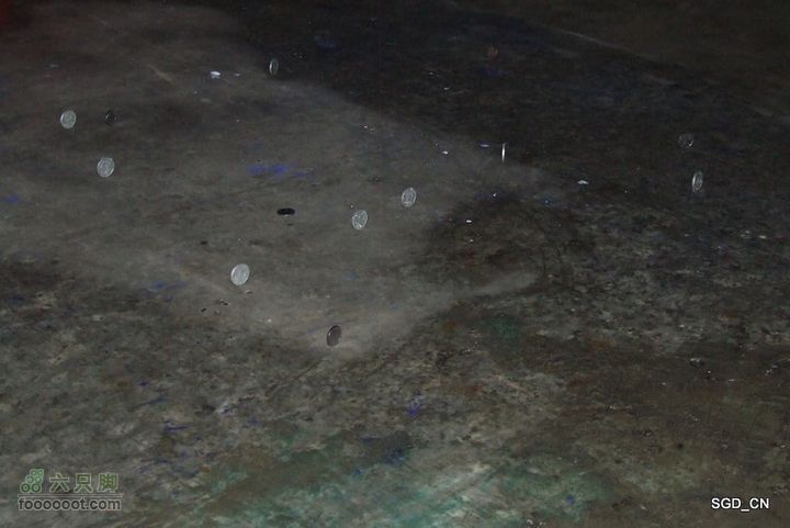 南杂木-元帅林-抚顺DSCF0585-1
