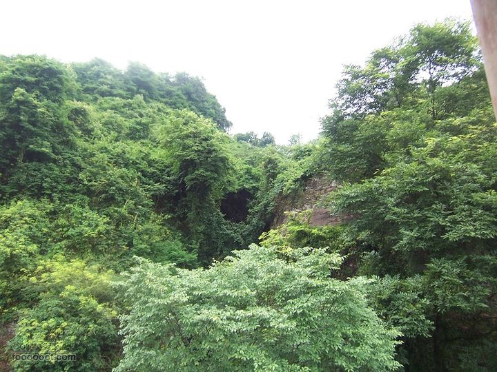 永安桃源洞2011_0605_100950