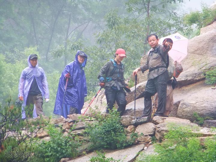  2011年7月2日泰山大佛寺至桃花峪雨中行DSCF1320