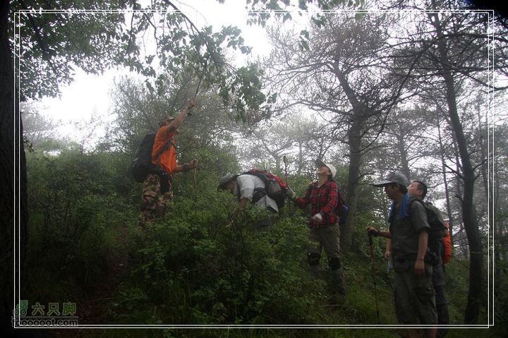  2011年7月2日泰山大佛寺至桃花峪雨中行摘桑椹