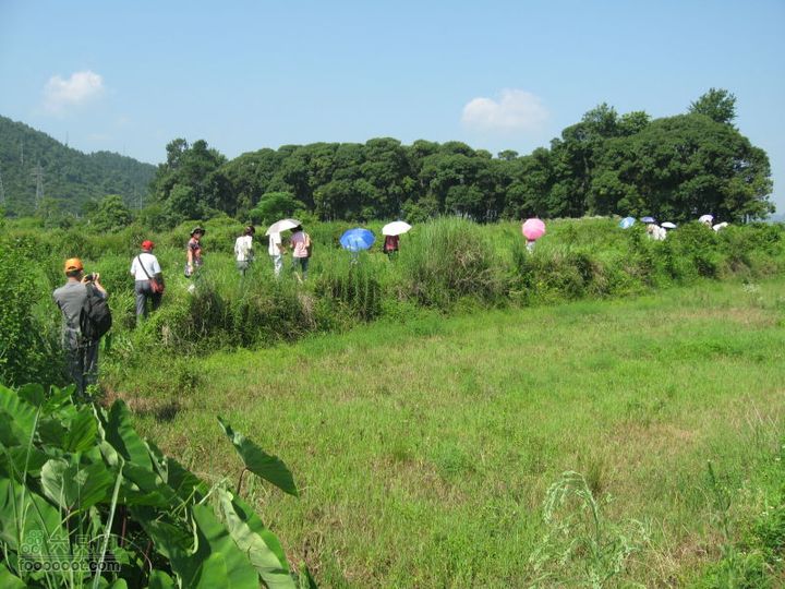 翻越南屏山，去到坪田赏壁画http_imgloadCA63TAGP