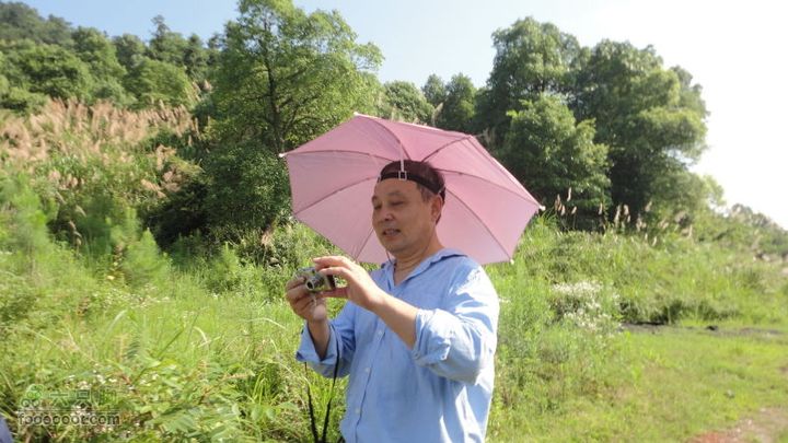 翻越南屏山，去到坪田赏壁画http_imgloadCAGNL75W