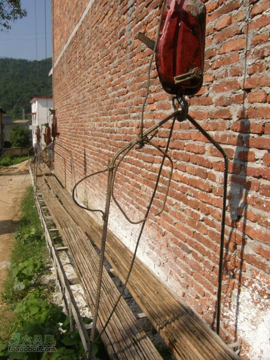 翻越南屏山，去到坪田赏壁画P7023642