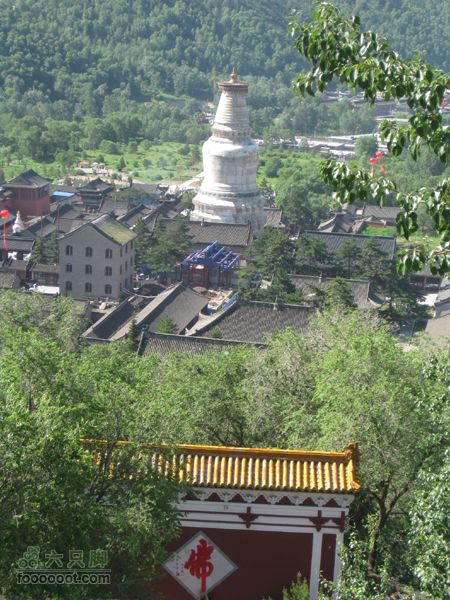 五台山游IMG_3939