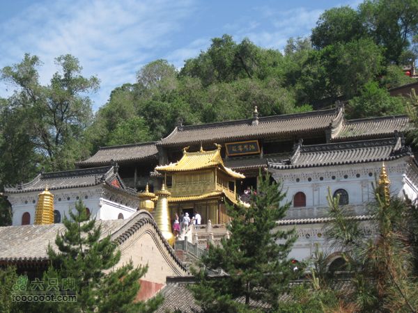 五台山游IMG_3947