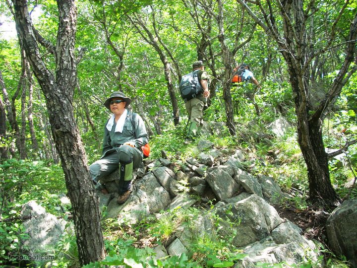 铁岭大荒顶子登山DSCN1579