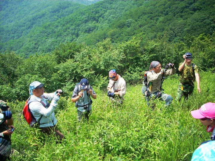 铁岭大荒顶子登山DSCN1603