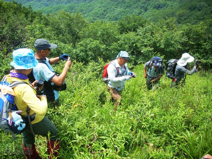 铁岭大荒顶子登山DSCN1605